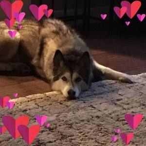 Meet your Posher, Sue